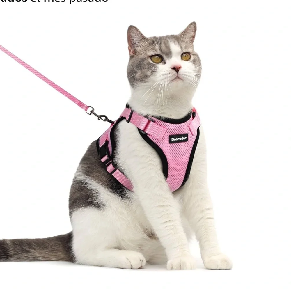 Cat Harness and Leash Set